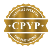 logo_CPYP logo cpyp